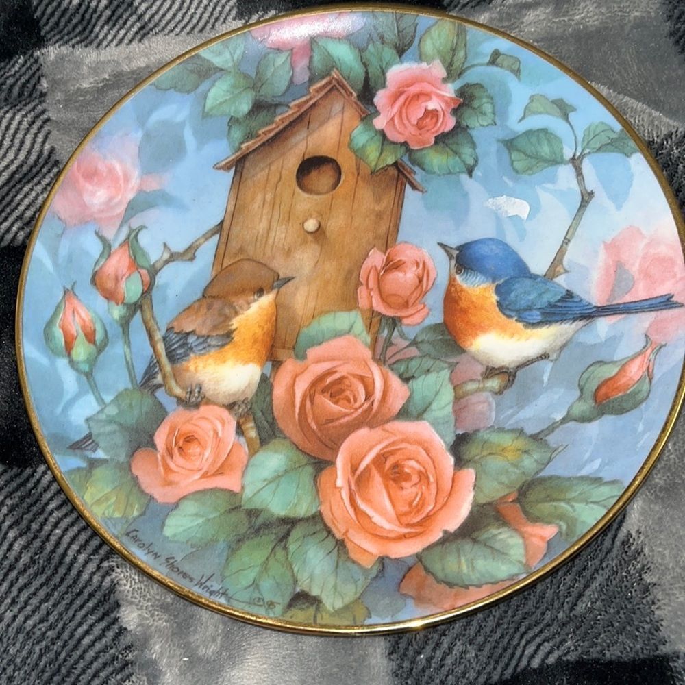 Royal doulton fine bone china